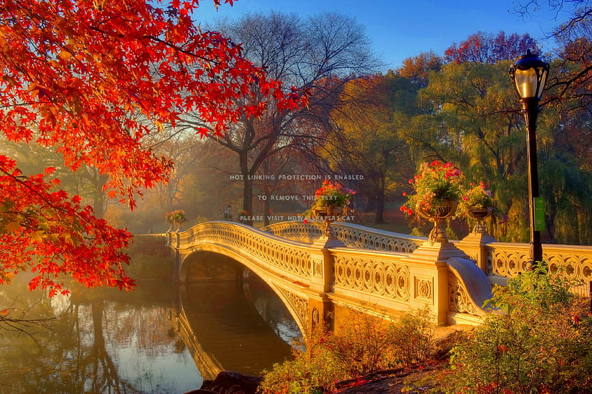 Central park in autumn calmness serenity, autumn serenity HD wallpaper ...
