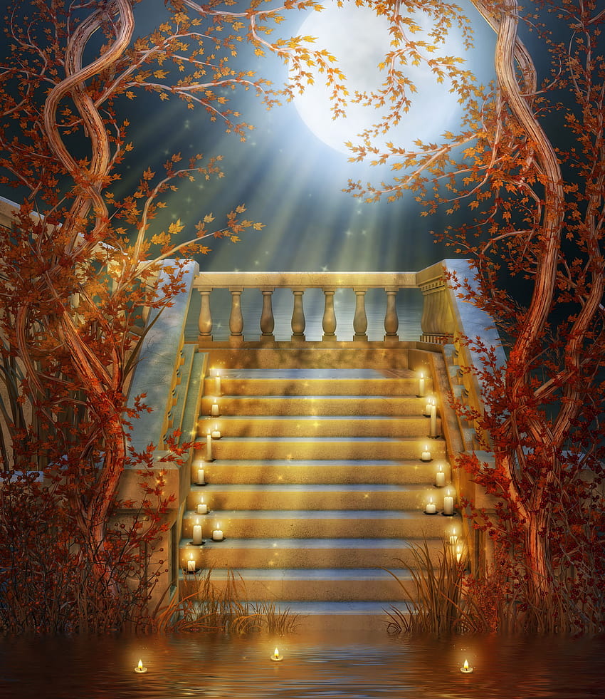 Magic Fairy Tale Wedding graphy Backgrounds, fairy wedding HD phone wallpaper