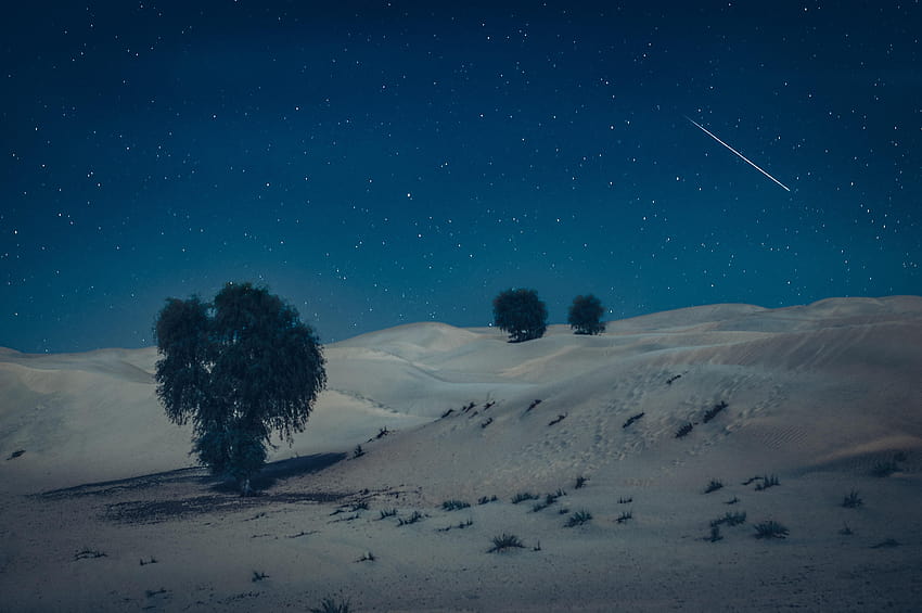 Arabian Desert Dubai, Nature, arabian nights mobile HD wallpaper