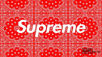 Supreme Logo HD Wallpaper 73565 2560x1600px