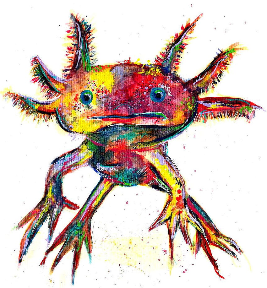 23 Axolotl ideas, rainbow axolotl HD phone wallpaper