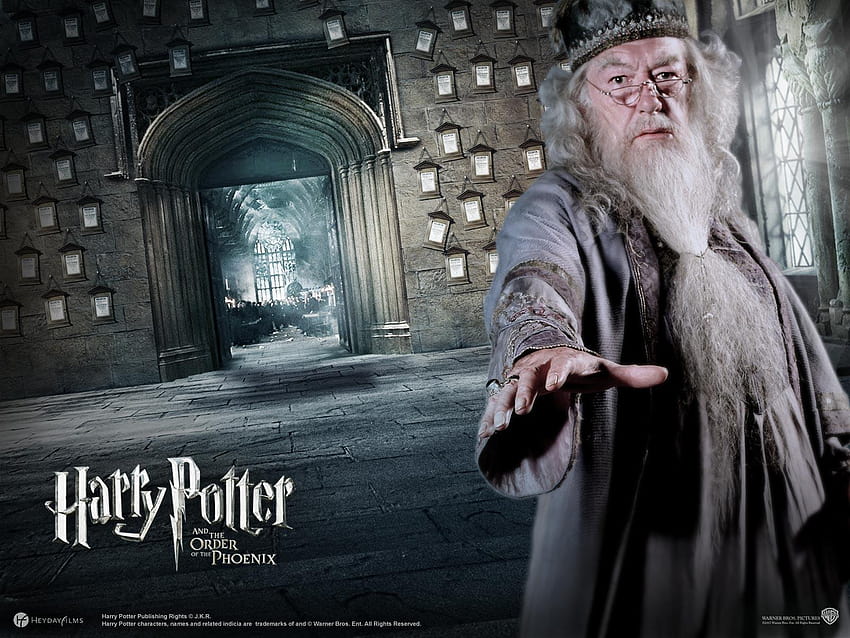 harry potter and the order of the phoenix, harry potter and dumbledore HD wallpaper
