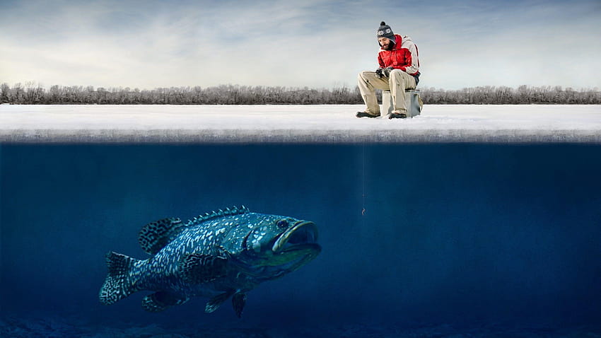 Bass Fishing Backgrounds for – .wiki HD wallpaper