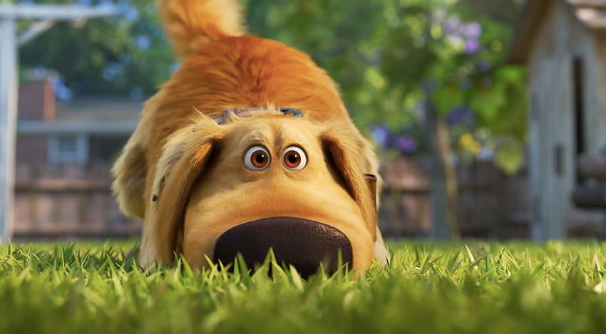 Disney and Pixar's New Animation Announcements Were Wild, up dug HD wallpaper