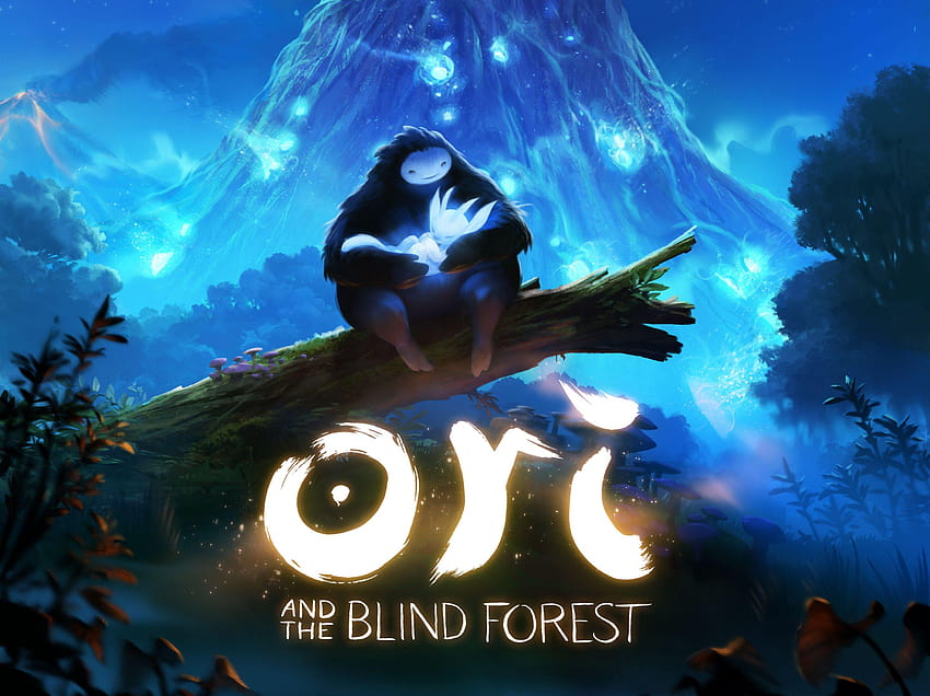 Ori et The Blind Forest, forêt silencieuse Fond d'écran HD