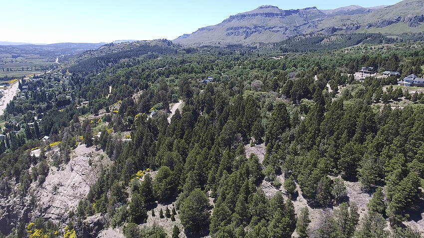 남쪽 산 마르틴 데 로스 안데스의 숲에 있는 집들의 공중 드론 장면 HD 월페이퍼