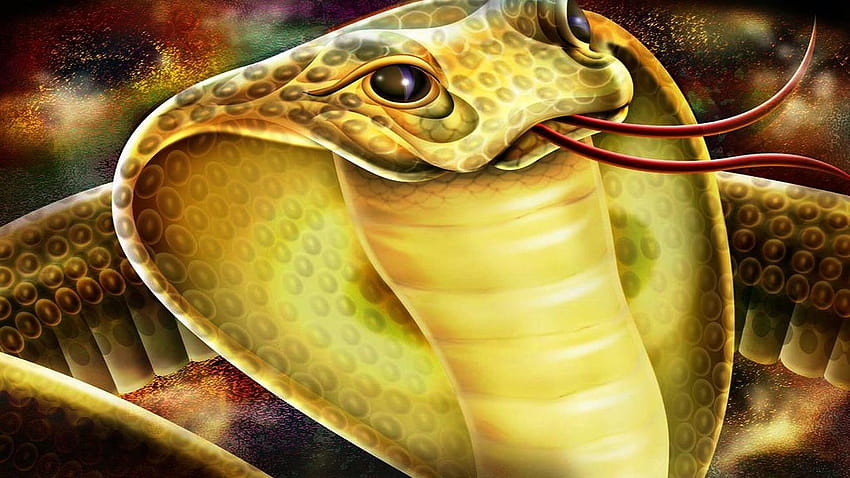 King Cobra King Kobra Snake Hd Wallpaper Pxfuel