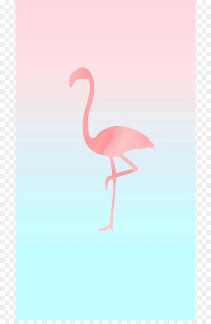 Pink Flamingo png, wielkanocne flamingi Tapeta na telefon HD