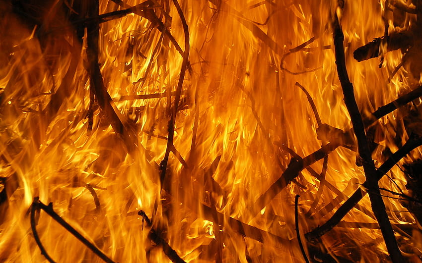 Flames wood fire orange, orange flame HD wallpaper