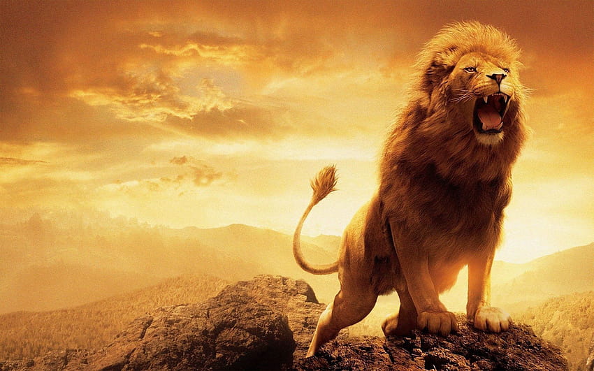 Brave Lion, brave browser HD wallpaper