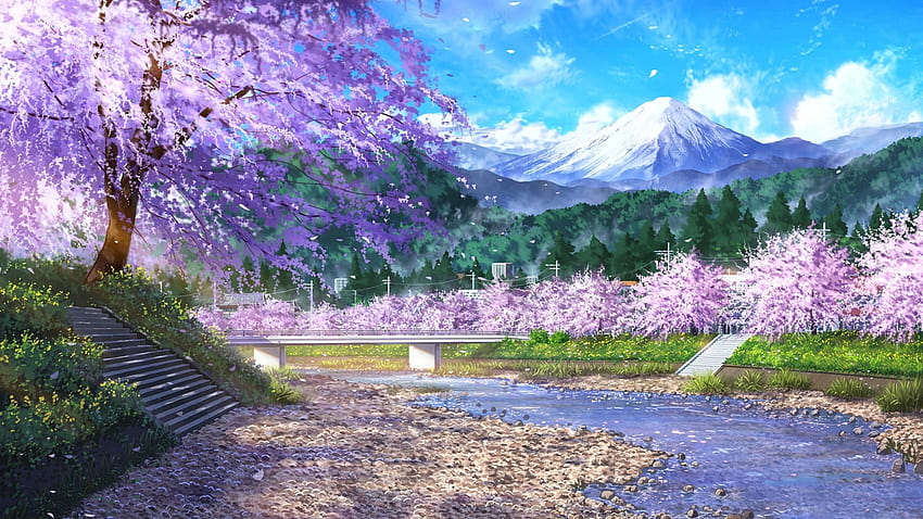 2560x1440 애니메이션 풍경, 꽃, 경치, 체리, 애니메이션 벚꽃 HD 월페이퍼