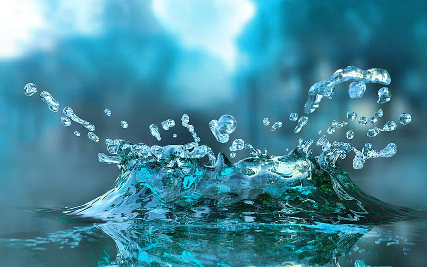 Water Drop Full Fish On Blue Green Nature, ocean water droplets HD wallpaper