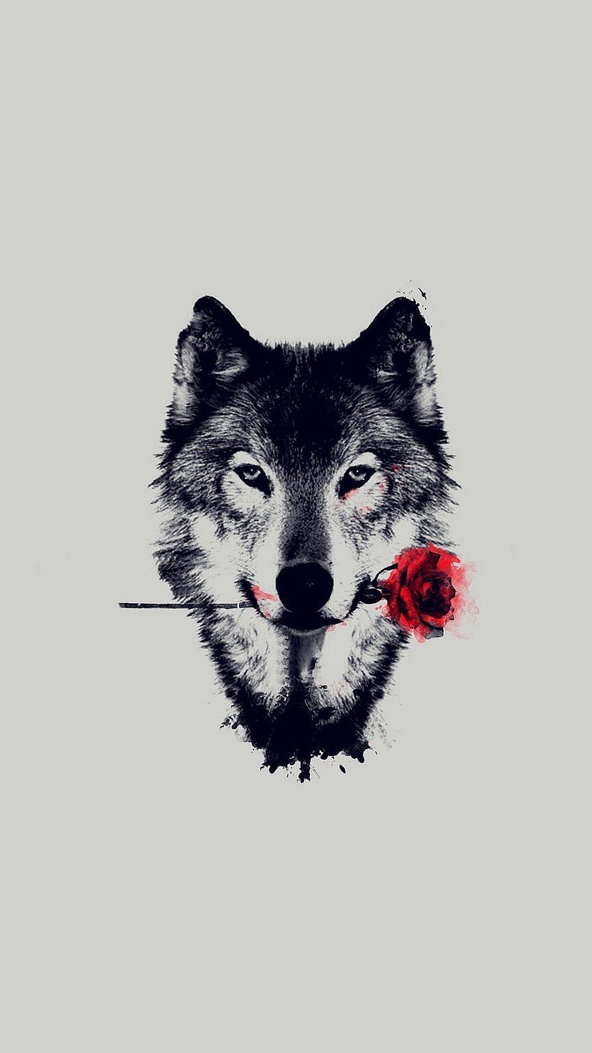 Red Wolf iPhone, drawing iphone HD phone wallpaper