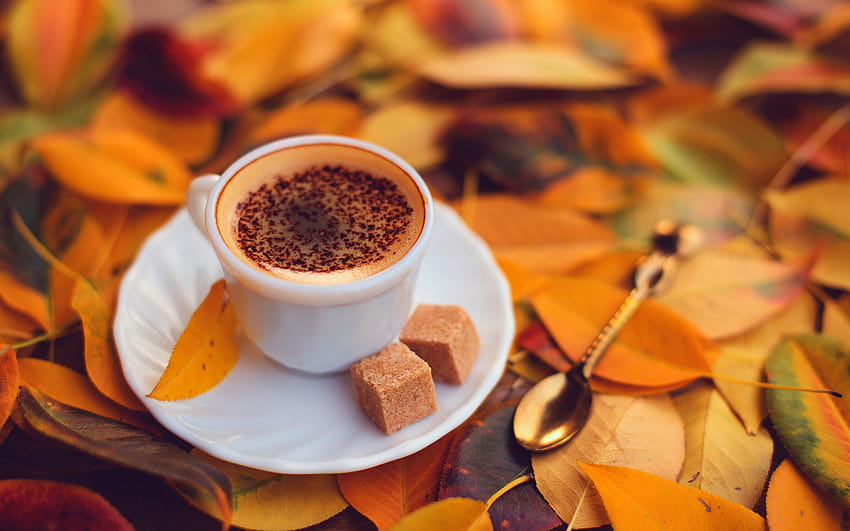 Coffee With Yellow Autumn Leaves, coffee and autumn HD wallpaper