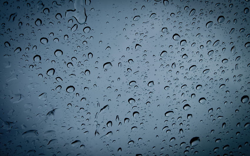 drip rain HD wallpaper