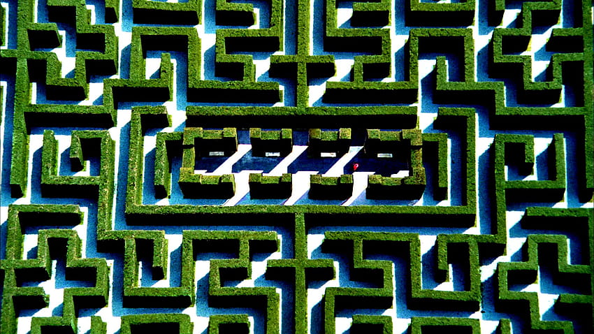 the, Shining, Horror, Thriller, Dark, Movie, Film, Classic, Psychedelic, Maze, Pattern, Garden / and Mobile Backgrounds HD wallpaper