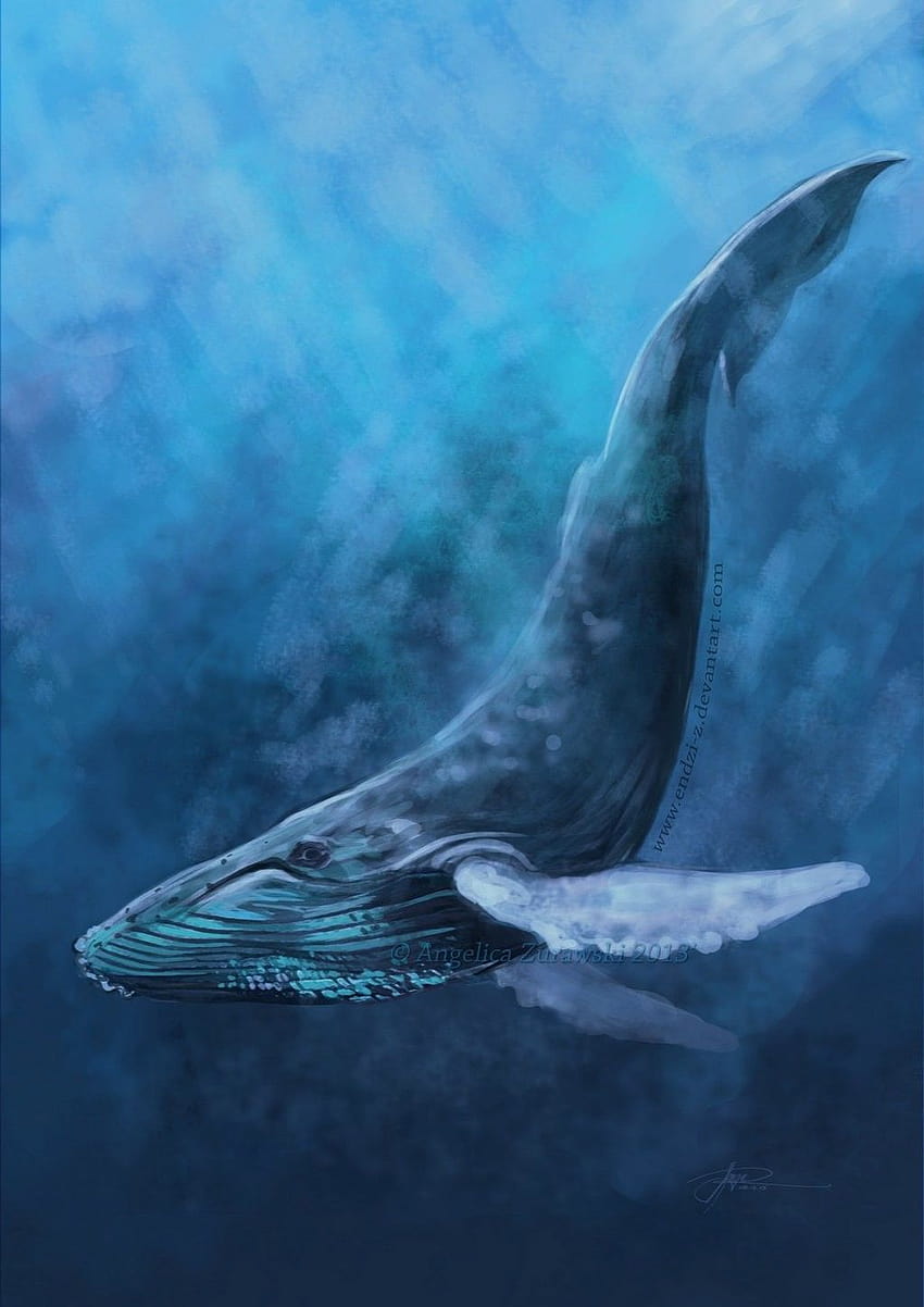 Pin on, blue whale art HD phone wallpaper | Pxfuel