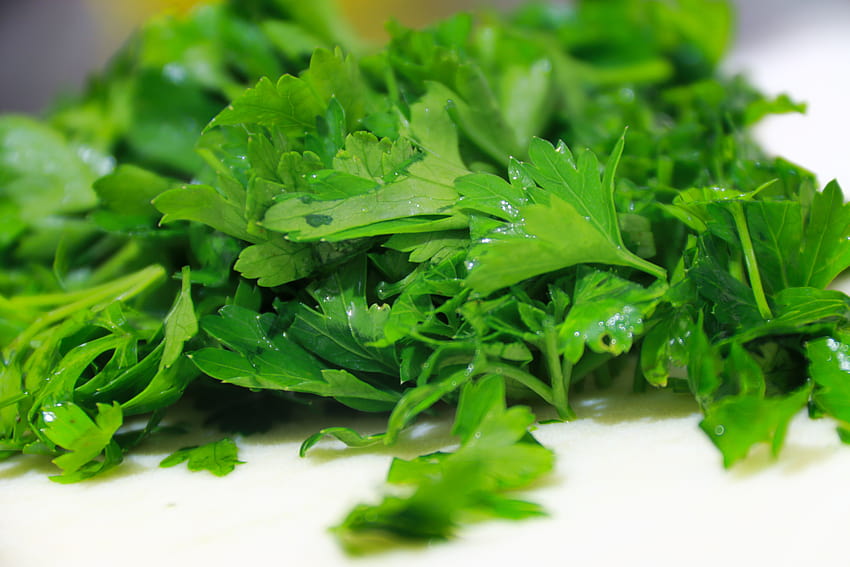 : parsley, herbs, vitamins 5472x3648, coriander HD wallpaper