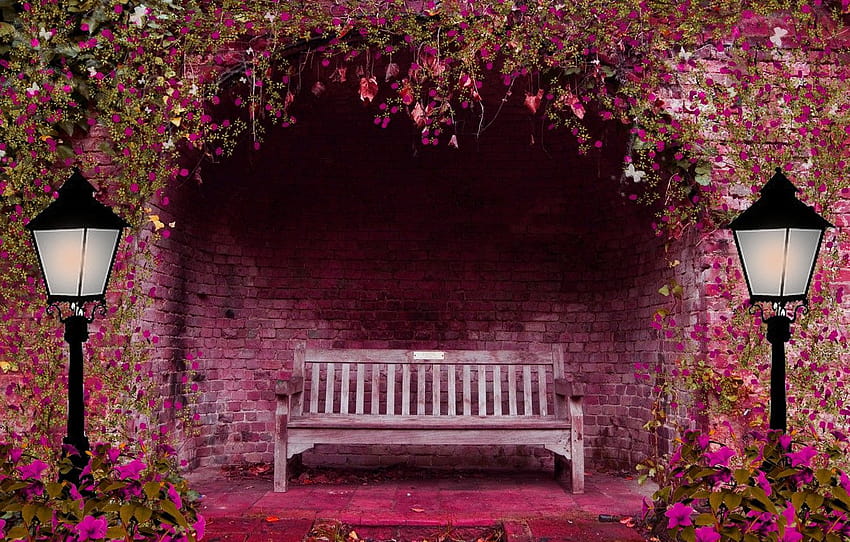 flowers, bench, pink, lights, arch, spring garden , section природа HD wallpaper