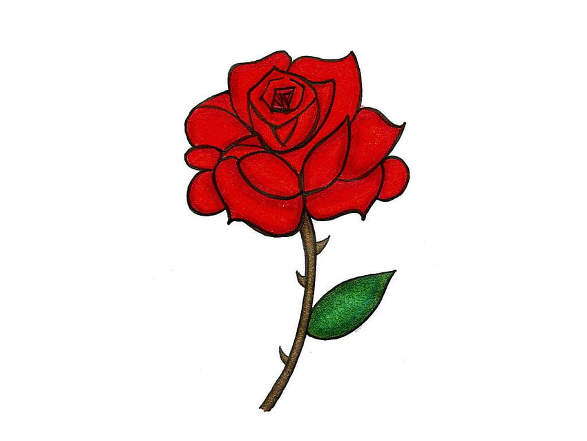 Red Roses Drawing Images  Browse 531962 Stock Photos Vectors and Video   Adobe Stock
