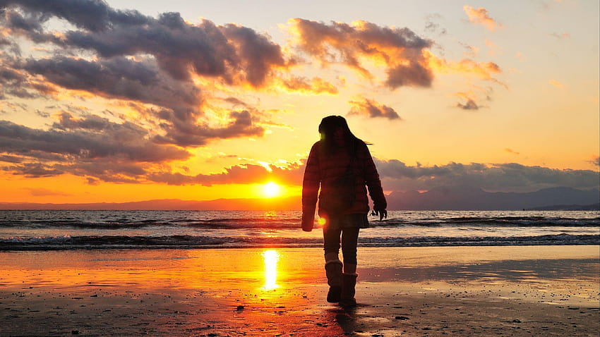 2560x1440 sea, beach, light, sunset, people, walk, walk alone HD wallpaper