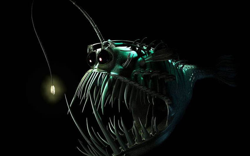Anglerfish Fish Ocean Sea Underwater Dark Creepy Monster Fangs At Dark, scary ocean HD wallpaper