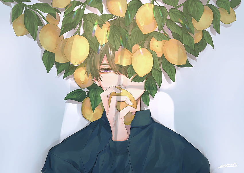 : original characters, anime boys, lemons 3858x2728, anime lemon boy HD wallpaper