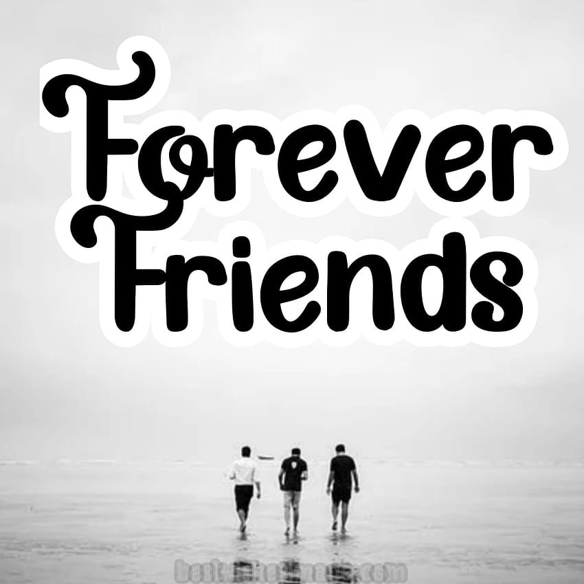 This is my friends and I! :) | Bestest friend quotes, Better life quotes,  Dp for whatsapp