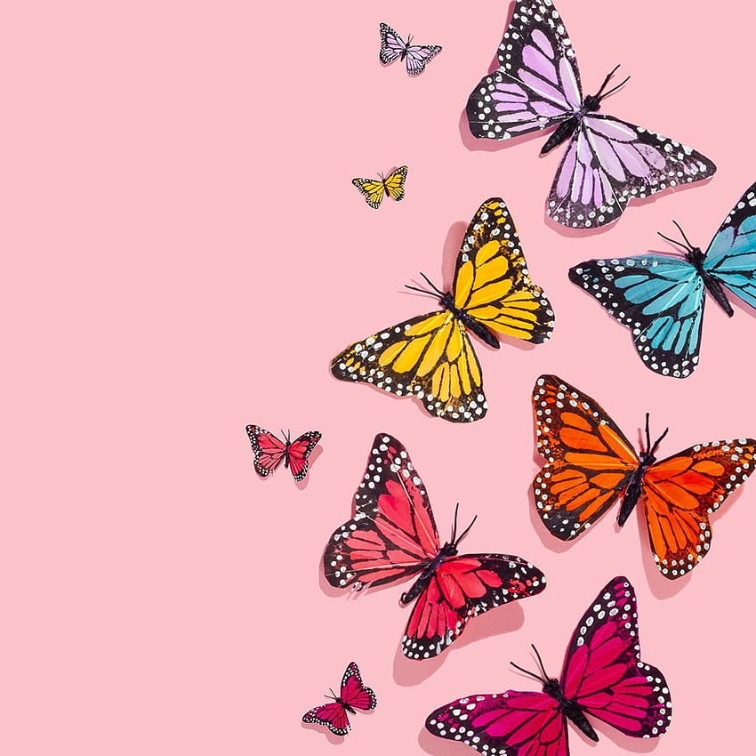 Rainbow of Butterflies, butterfly aesthetics HD phone wallpaper | Pxfuel