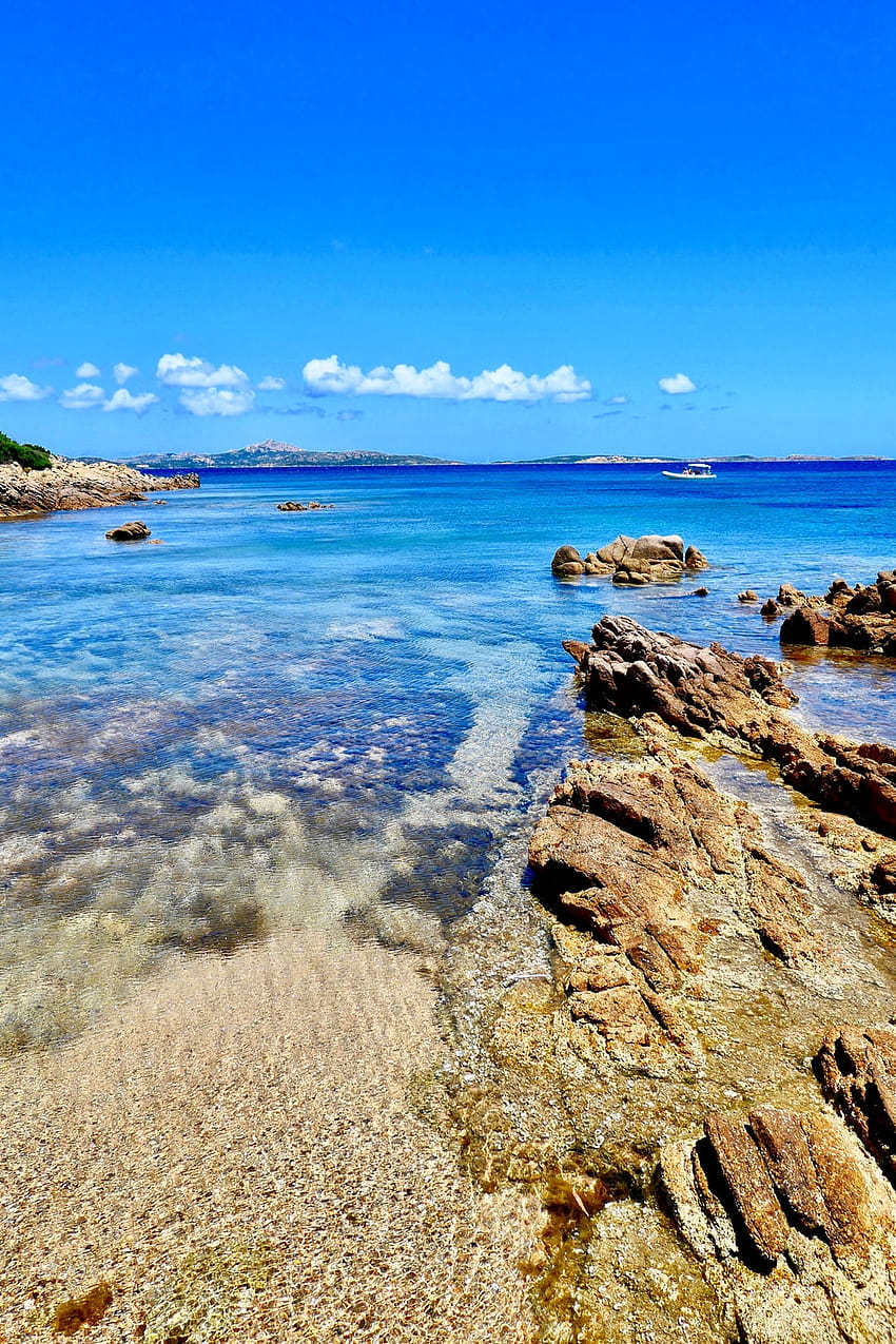 맑은 물 해변의 갈색 바위 - 팔라우 HD 전화 배경 화면