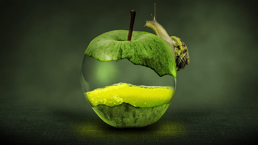 Escargot Vert Pomme Art numérique et Fond d'écran HD
