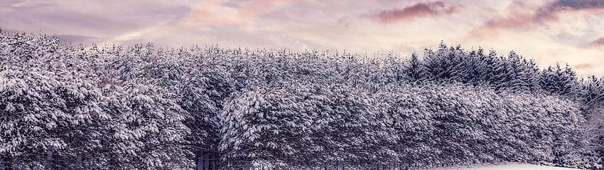 7680x2160 Nieve, invierno, árboles, campo, campo de árboles fondo de pantalla