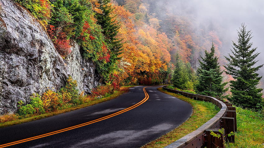 Fall Mountain Road, mountainous road HD wallpaper