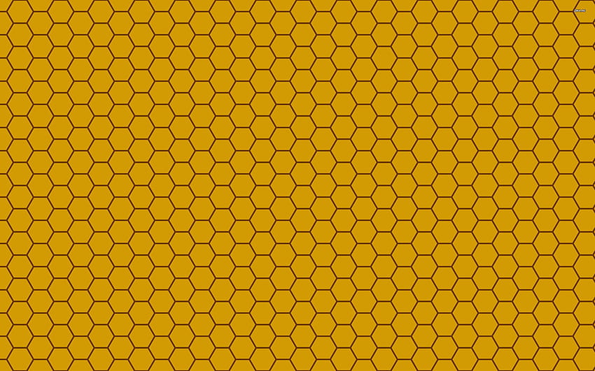 2 ベスト & インスピレーションを与える高品質の蜂の巣の背景, bee hive 高画質の壁紙