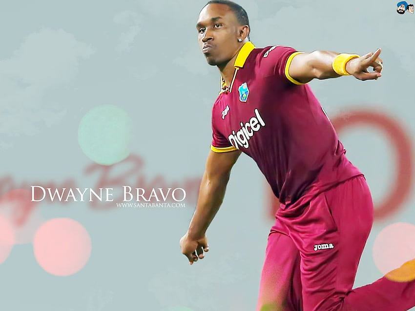 Full Cricket &, dwayne bravo HD wallpaper