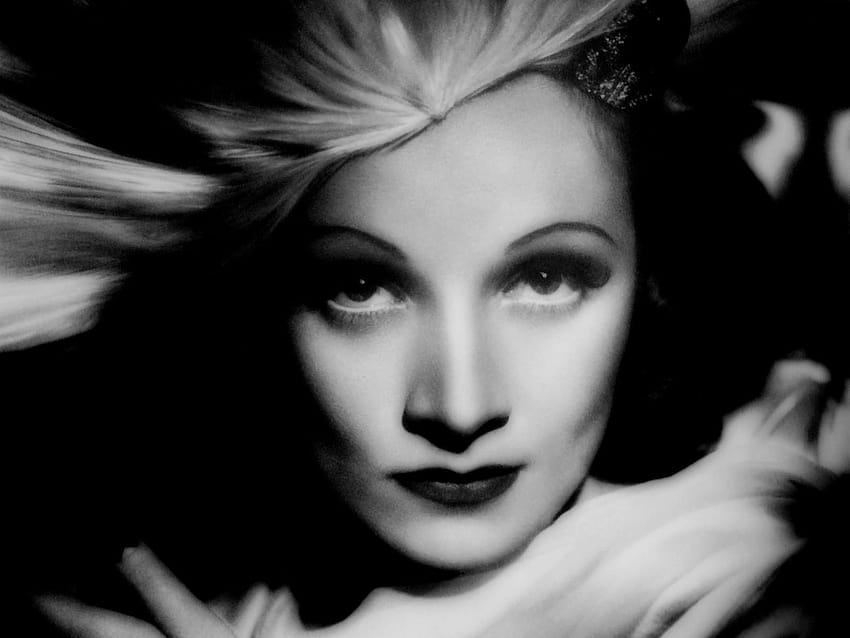 Marlene Dietrich 7 HD wallpaper