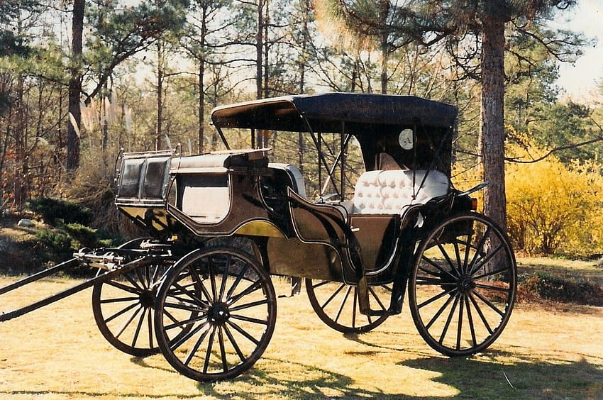 prompthunt: steampunk horse-drawn carriage, victorian, Paris 1900, octane  render, black gold, very detailed, hyper realistic