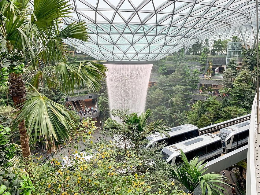 Nature, singapore airport HD wallpaper