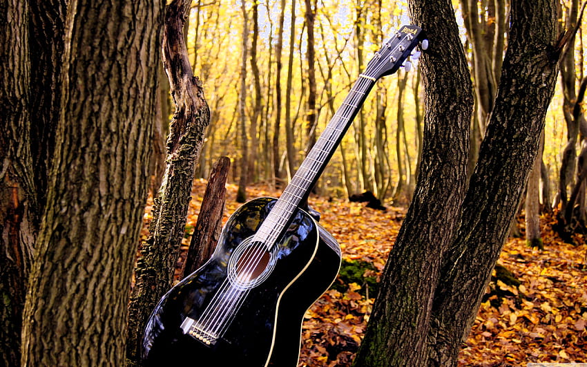 Forrest Guitar for Ultra TV • Wide, guitar classic HD wallpaper | Pxfuel