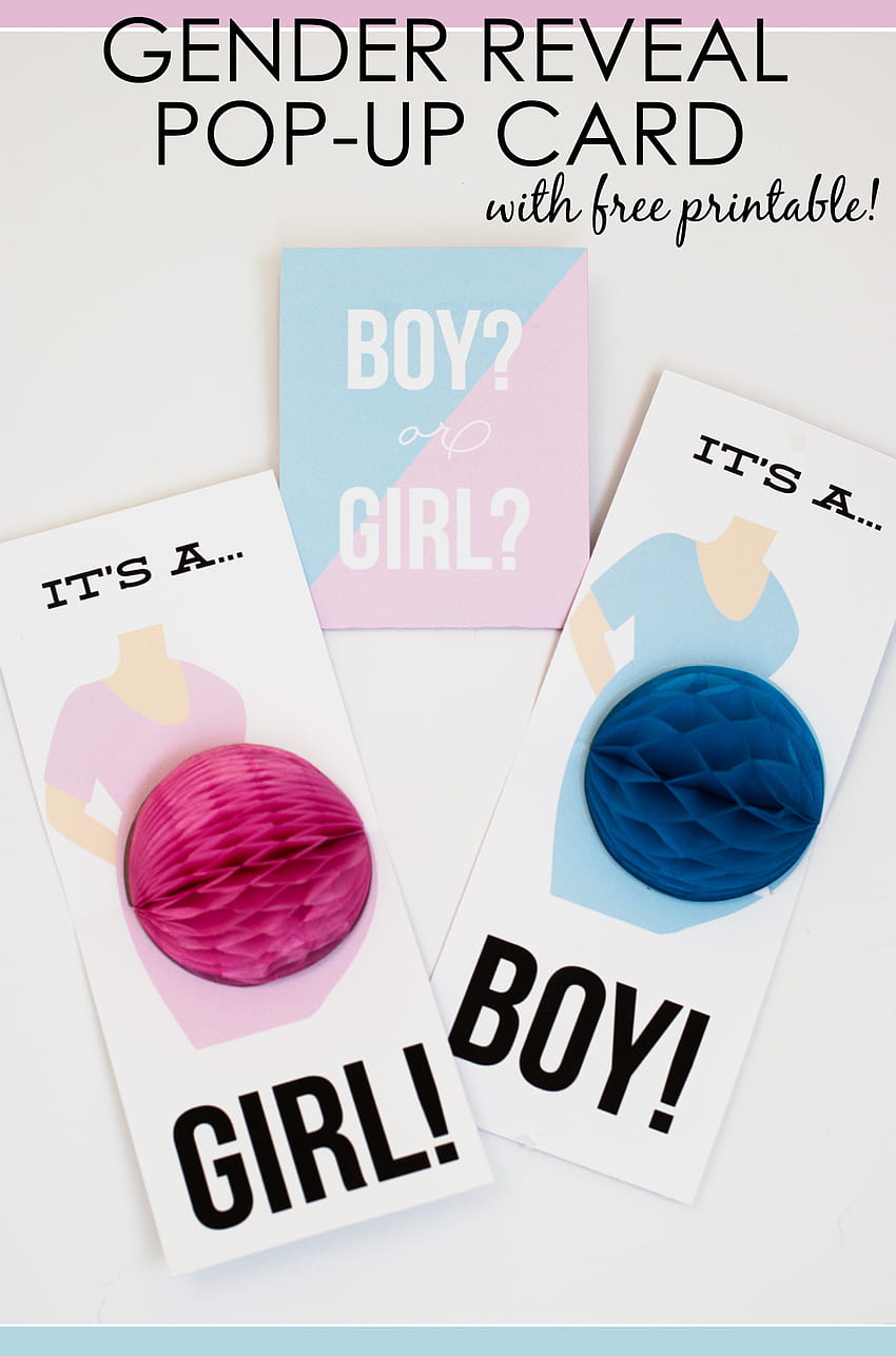 Try This Cute and Clever Gender Reveal DIY Pop HD phone wallpaper