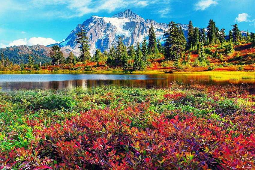 สวนสาธารณะ North Mountains Shuksan ป่าน้ำตก Washington ที่สวยงาม อุทยานแห่งชาติ North Cascades วอลล์เปเปอร์ HD