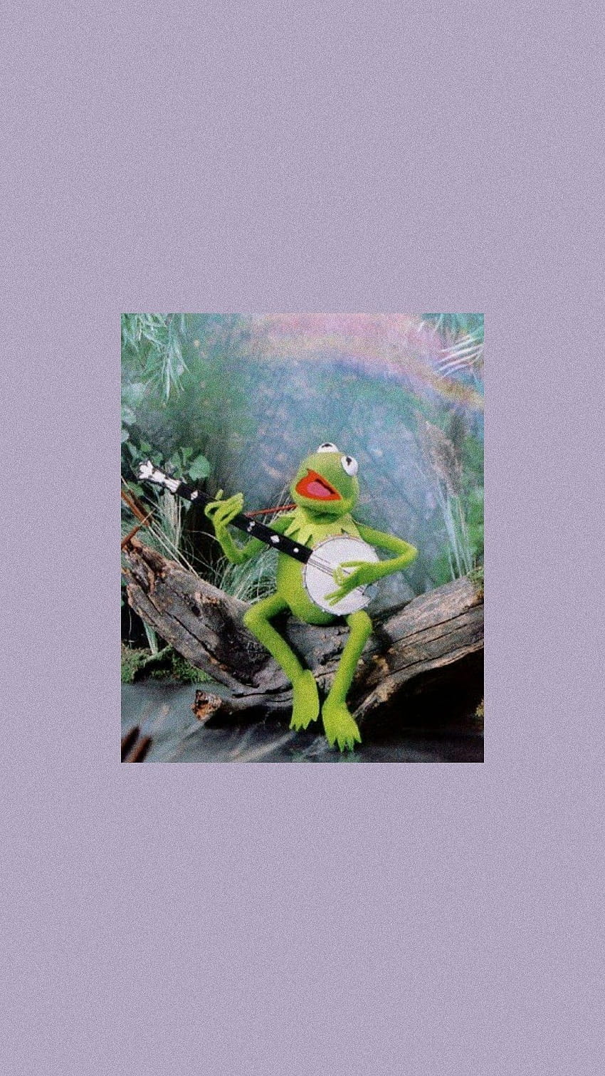 Pin su Kermit the Frog, estetica rana Sfondo del telefono HD