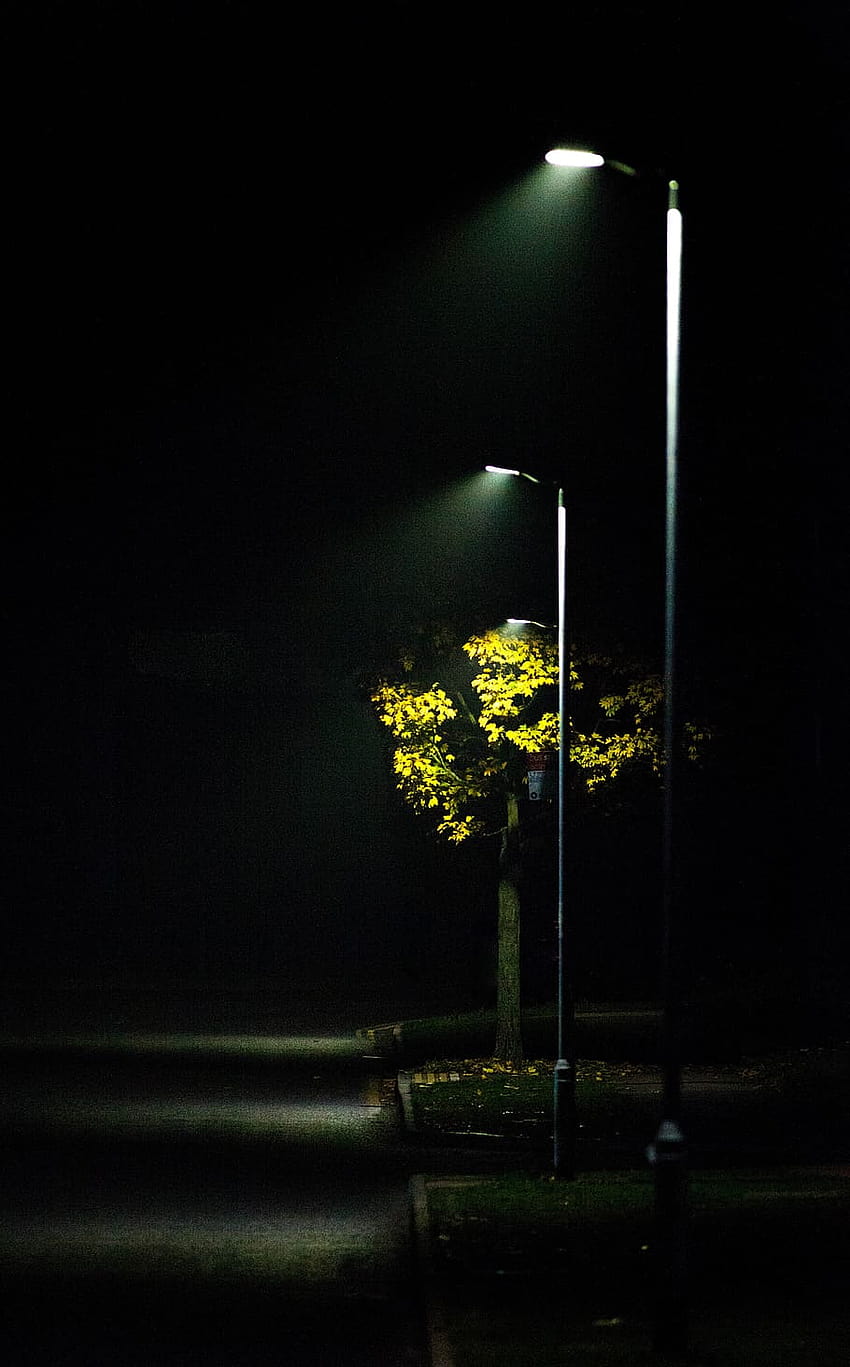 : 街灯、もや、街灯、情景、秋、道を照らす HD電話の壁紙