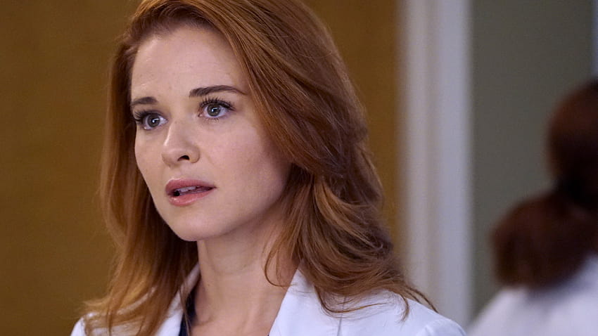 Grey's Anatomy': Sarah Drew Says She Would Return as April Kepner for the Last Season HD wallpaper