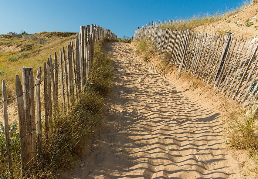 茶色の木製フェンス、砂丘を通る小道 高画質の壁紙
