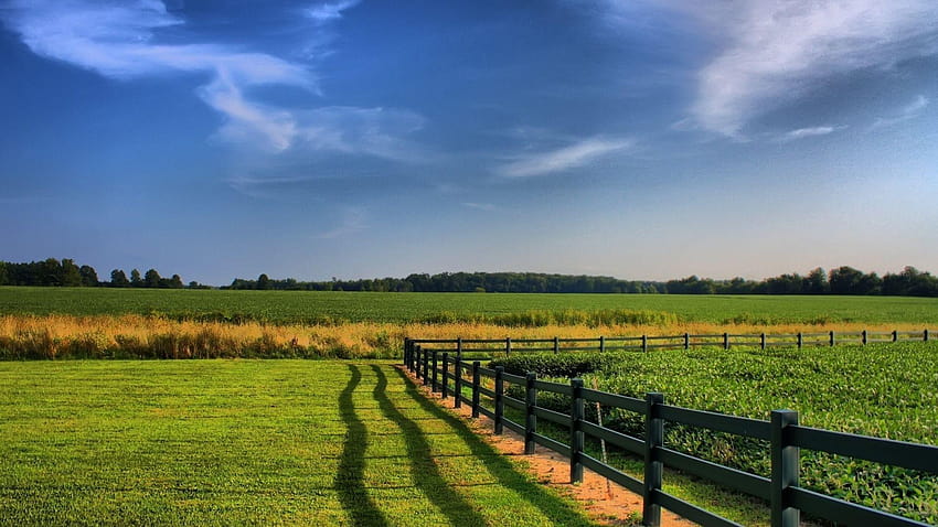 1920x1080 Fence, Fields, Greens, Agriculture HD wallpaper