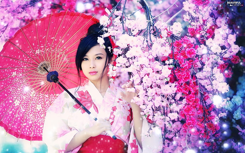 trees, Japanese, umbrella, flourishing, Women, viewes, Spring, japanese women umbrella HD wallpaper