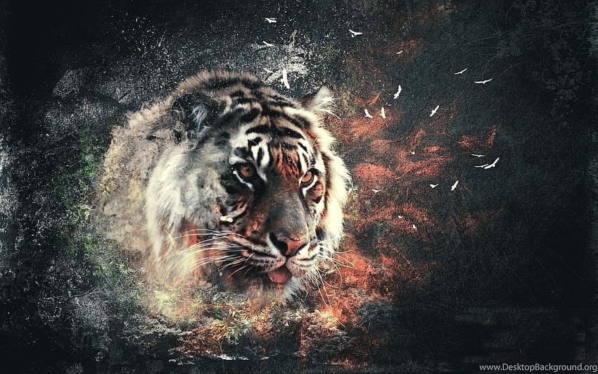 3D Tiger Wide Backgrounds, 3d tigers HD wallpaper | Pxfuel