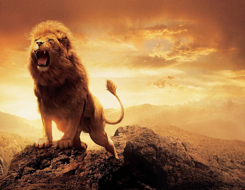 Angry Lion on Get, roaring lion HD wallpaper | Pxfuel