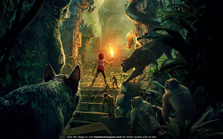Mowgli legend of the jungle HD wallpapers | Pxfuel